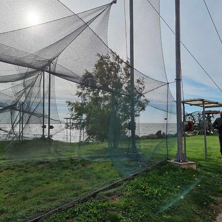 Sturmu Svyturys Bed & Breakfast Sturmai Bagian luar foto