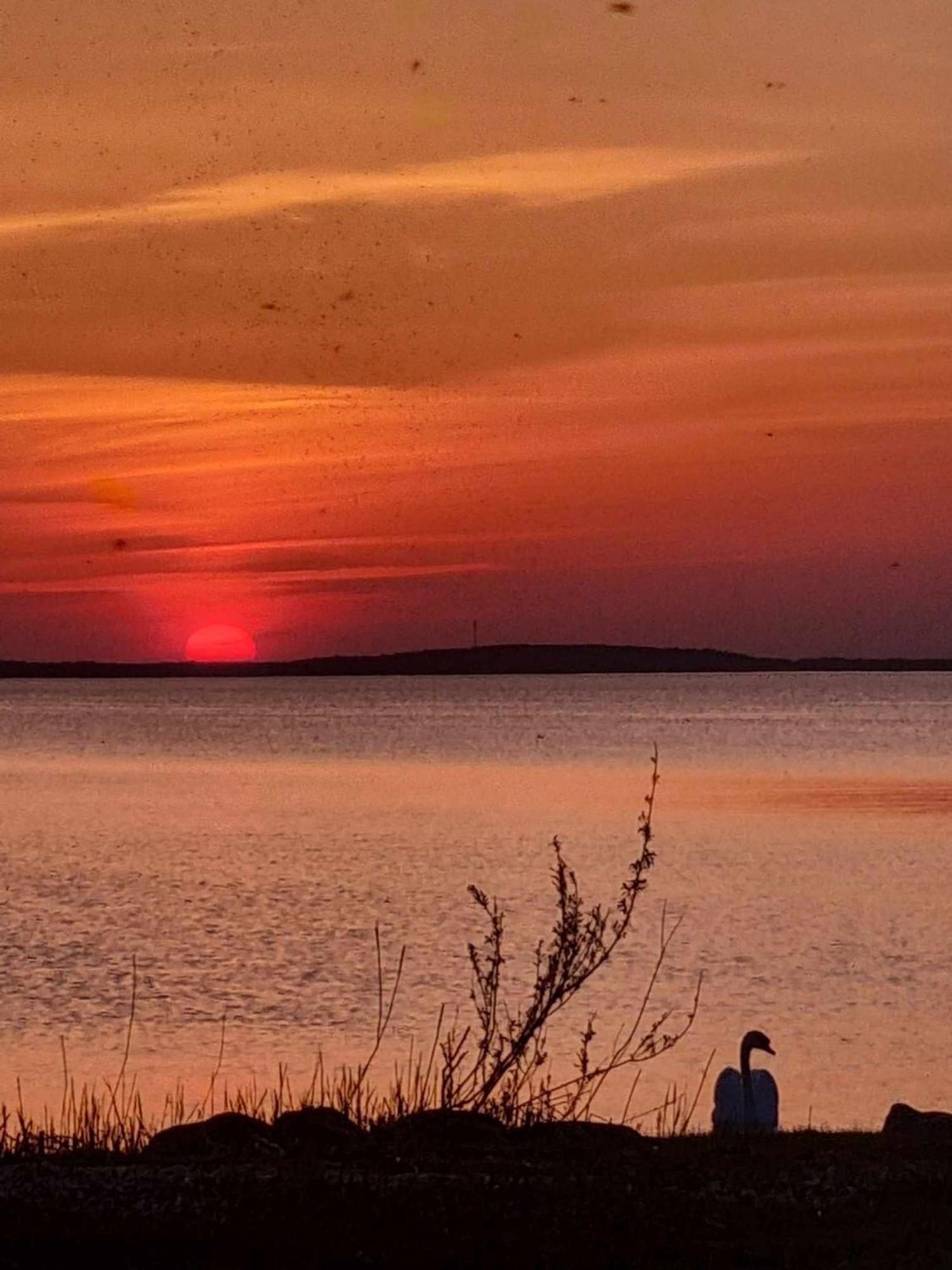 Sturmu Svyturys Bed & Breakfast Sturmai Bagian luar foto
