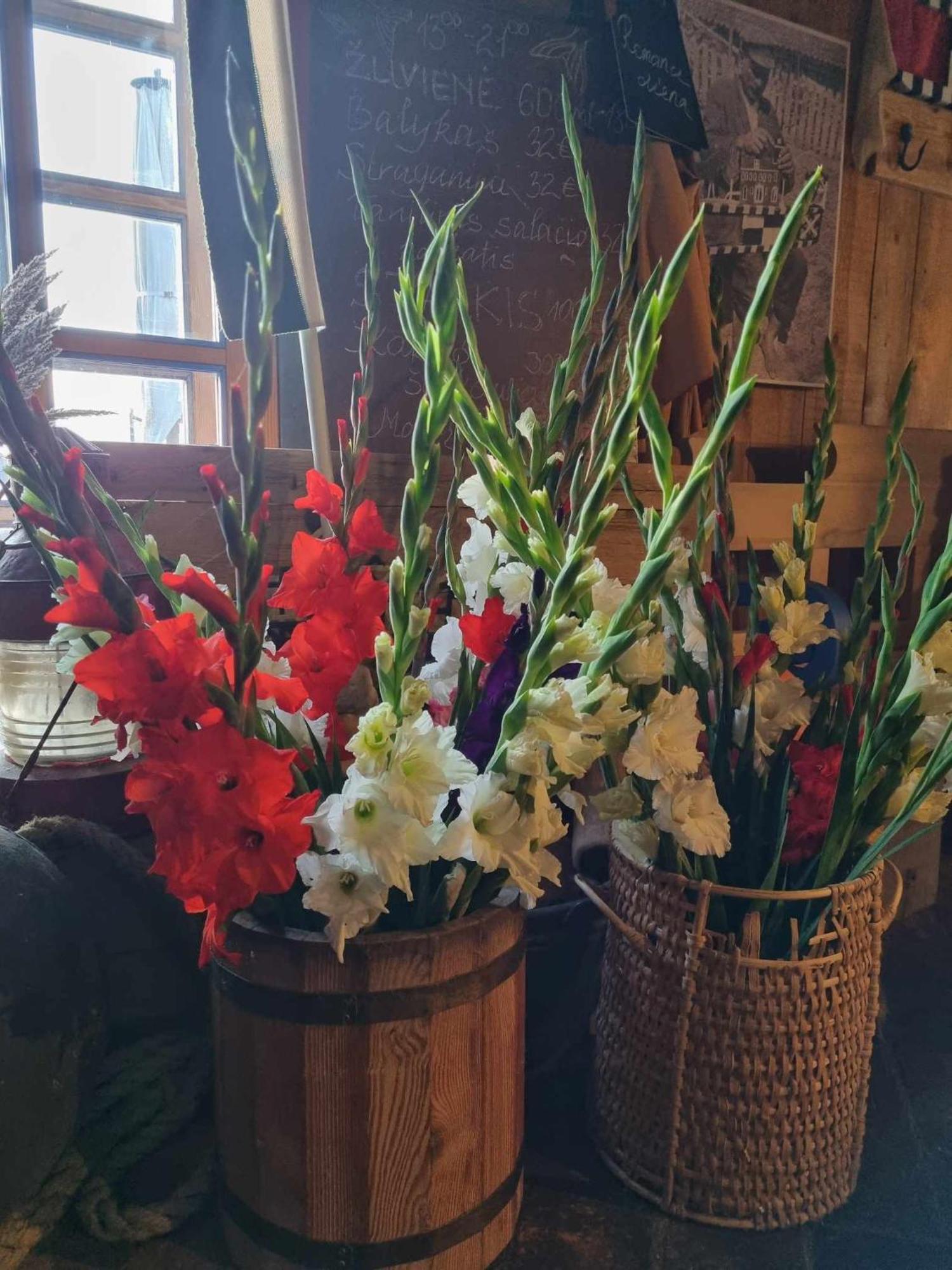 Sturmu Svyturys Bed & Breakfast Sturmai Bagian luar foto