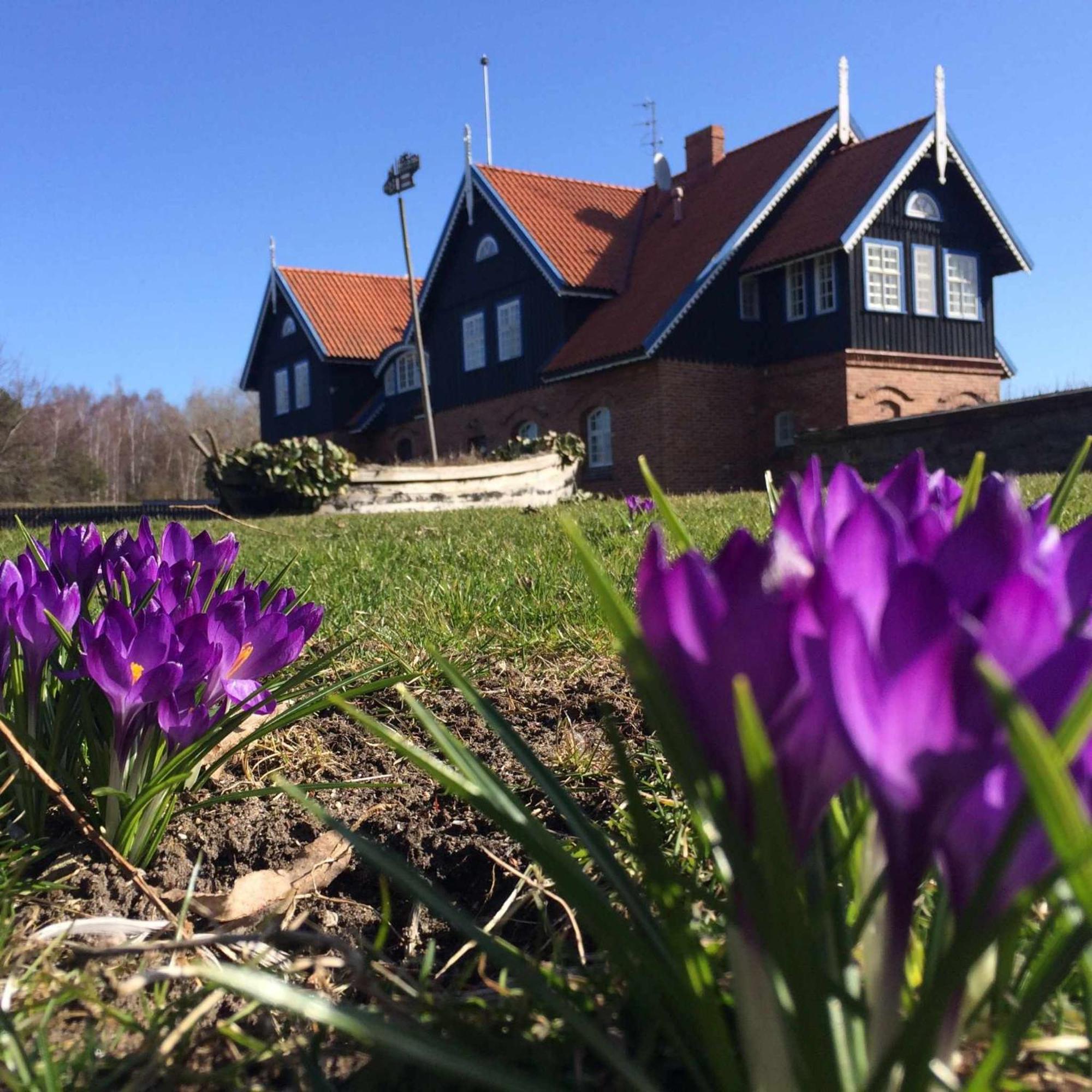 Sturmu Svyturys Bed & Breakfast Sturmai Bagian luar foto