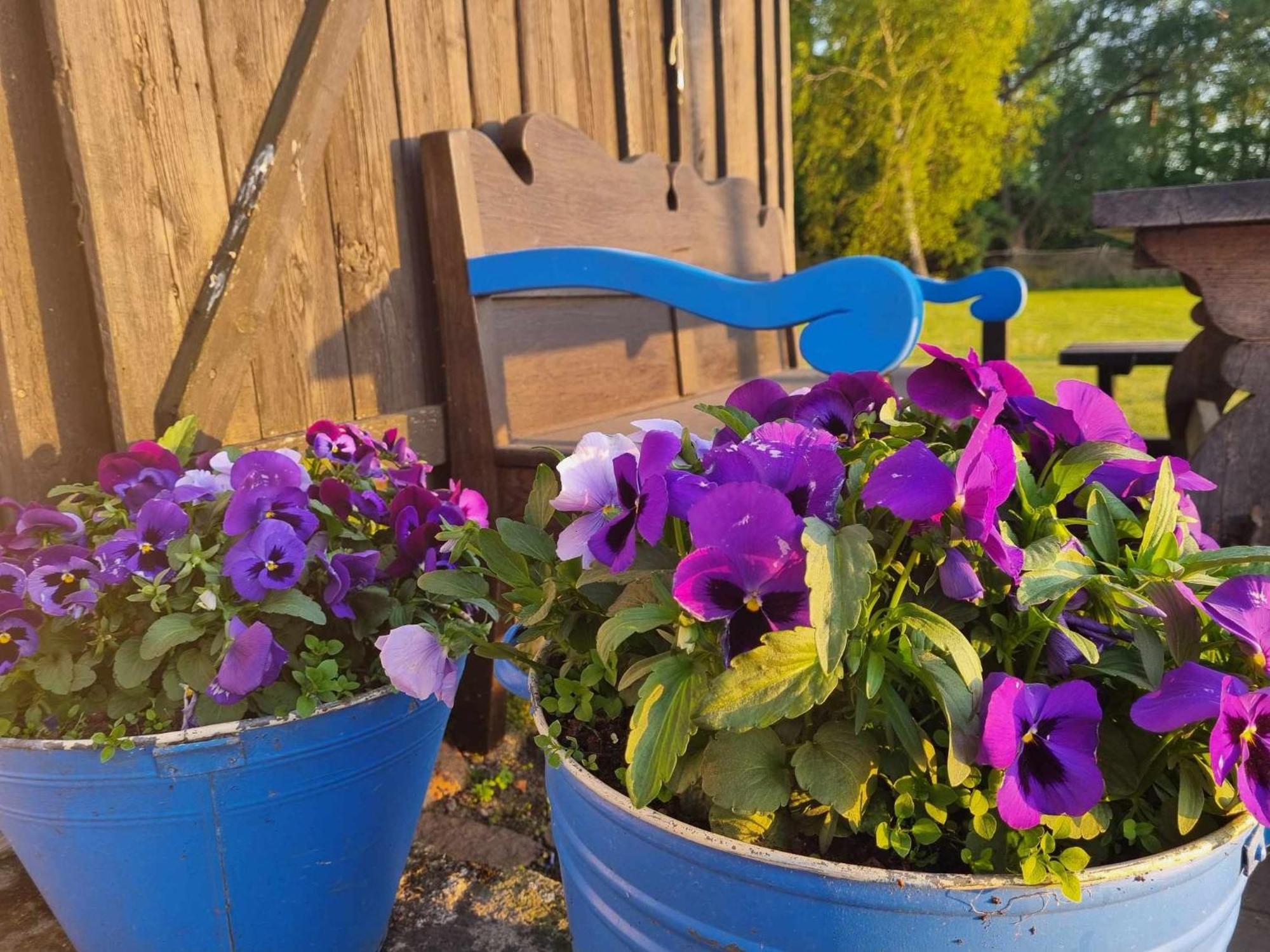 Sturmu Svyturys Bed & Breakfast Sturmai Bagian luar foto